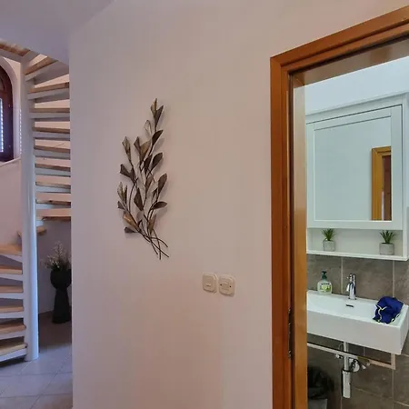 Villa In Vi Njan With Private Pool And Garden Visnjan